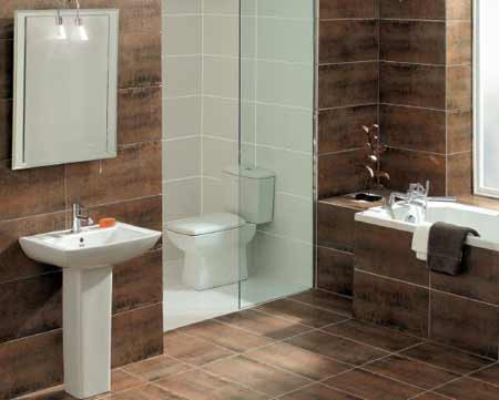 Bathroom Partitions on Small Toilet And Bathroom Designs